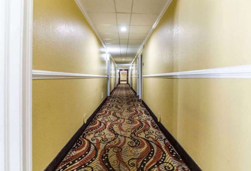 فندق على الطريق Rodeway Inn & Suites Jacksonville Near Camp Lejeune
