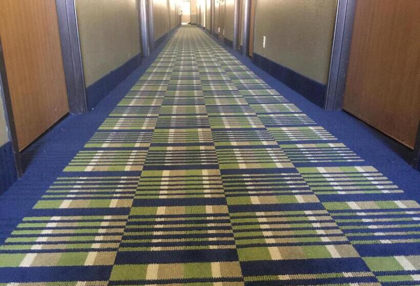 מוטל Super 8 By Wyndham Cedar City