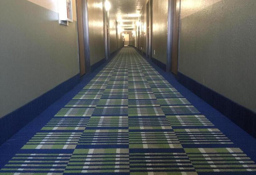 מוטל Super 8 By Wyndham Cedar City