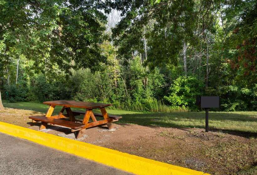 汽车旅馆  Super 8 By Wyndham Cromwell/middletown