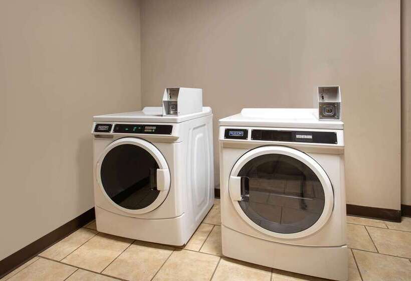 汽车旅馆  Super 8 By Wyndham Cromwell/middletown