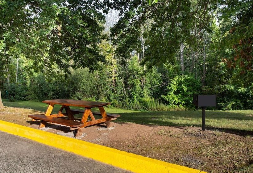 汽车旅馆  Super 8 By Wyndham Cromwell/middletown