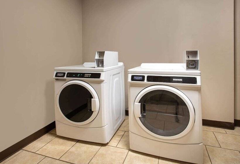 汽车旅馆  Super 8 By Wyndham Cromwell/middletown