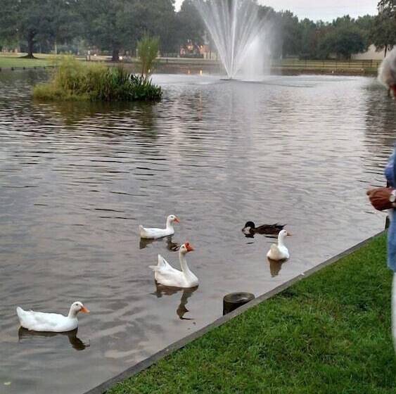 汽车旅馆  Super 8 By Wyndham Hammond