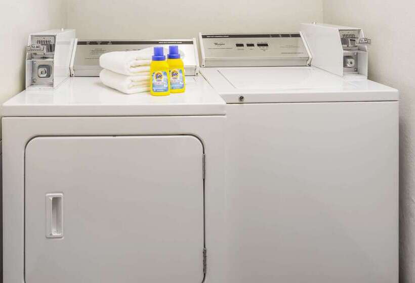 汽车旅馆 Super 8 By Wyndham Hampton