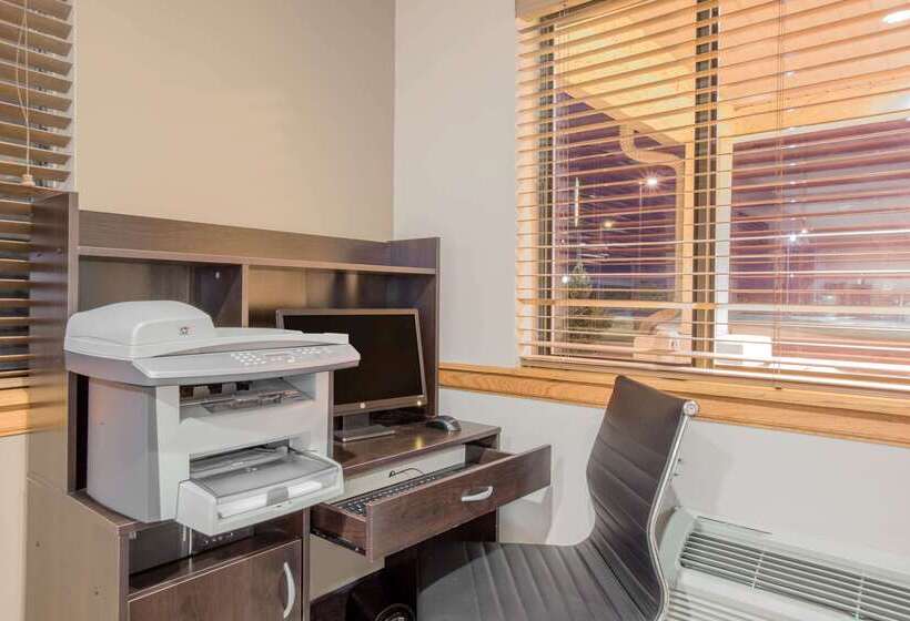 汽车旅馆 Super 8 By Wyndham Hastings