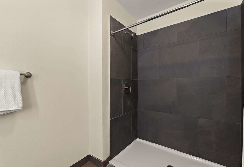 فندق على الطريق Sleep Inn Kelso Longview