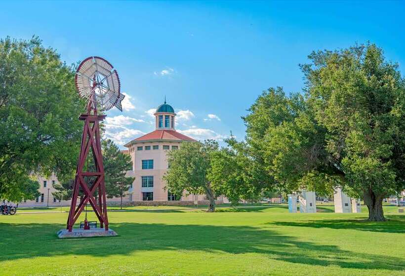 モーテル Super 8 By Wyndham Las Cruces University Area