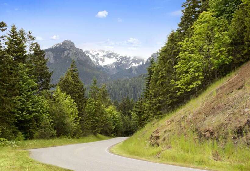 فندق على الطريق Super 8 By Wyndham Port Angeles At Olympic National Park