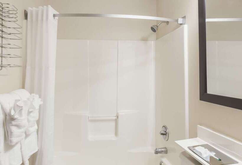 فندق على الطريق Super 8 By Wyndham Schenectady/albany Area