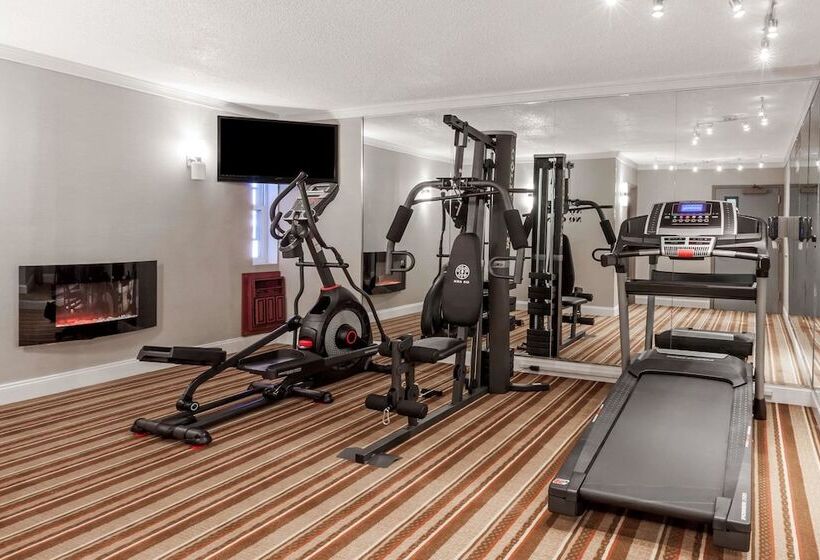 מוטל Super 8 By Wyndham Schenectady/albany Area