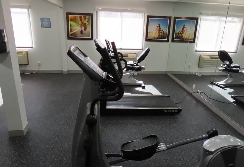 فندق على الطريق Best Western North Side Inn