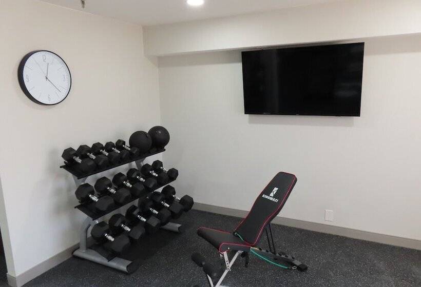 فندق على الطريق Best Western North Side Inn