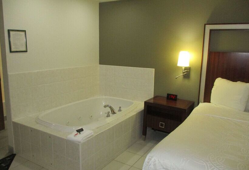 汽车旅馆 Surestay Hotel By Best Western Manchester