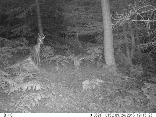 旅馆 Bellevue Chambres D'hôtes