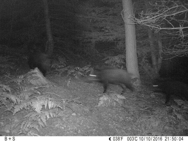 旅馆 Bellevue Chambres D'hôtes