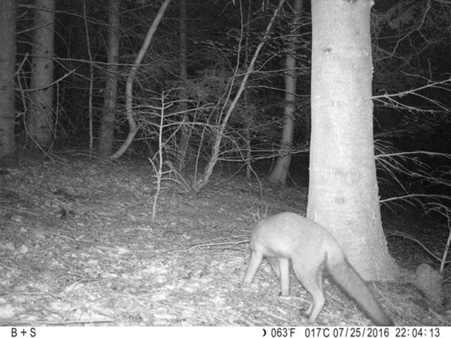 旅馆 Bellevue Chambres D'hôtes