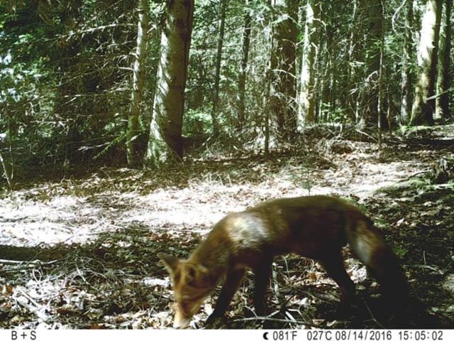 旅馆 Bellevue Chambres D'hôtes