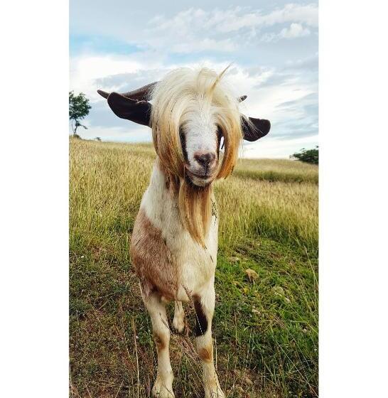 민박 Cala Guane Barichara