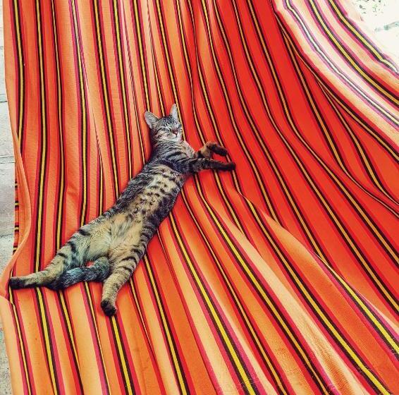 민박 Cala Guane Barichara