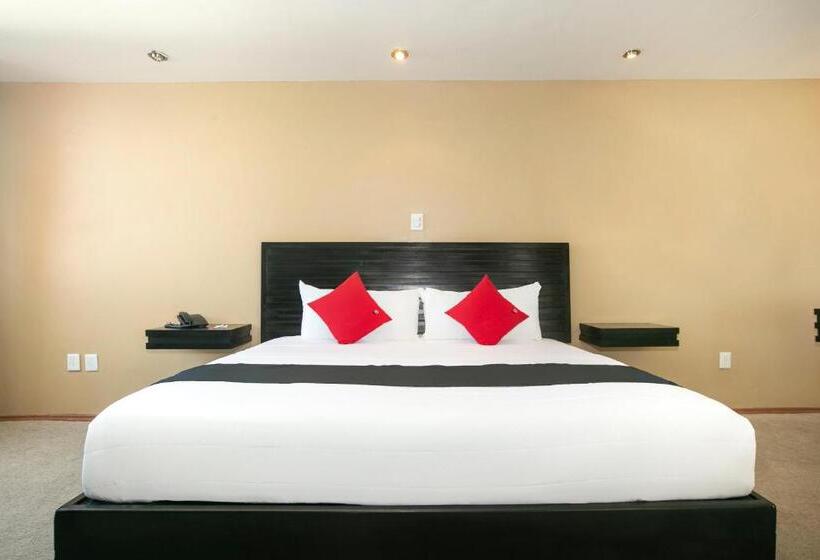 בית מלון כפרי Euro Confort,pachuca