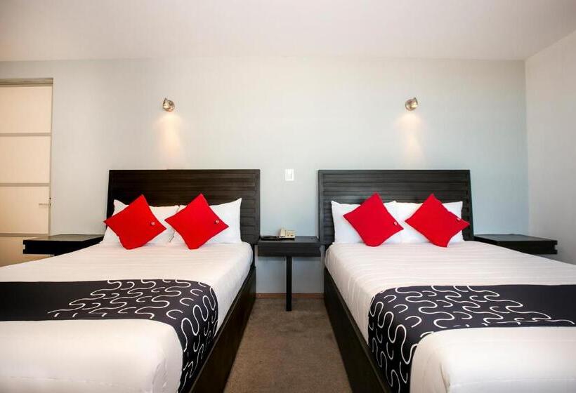 בית מלון כפרי Euro Confort,pachuca