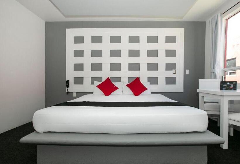 בית מלון כפרי Euro Confort,pachuca