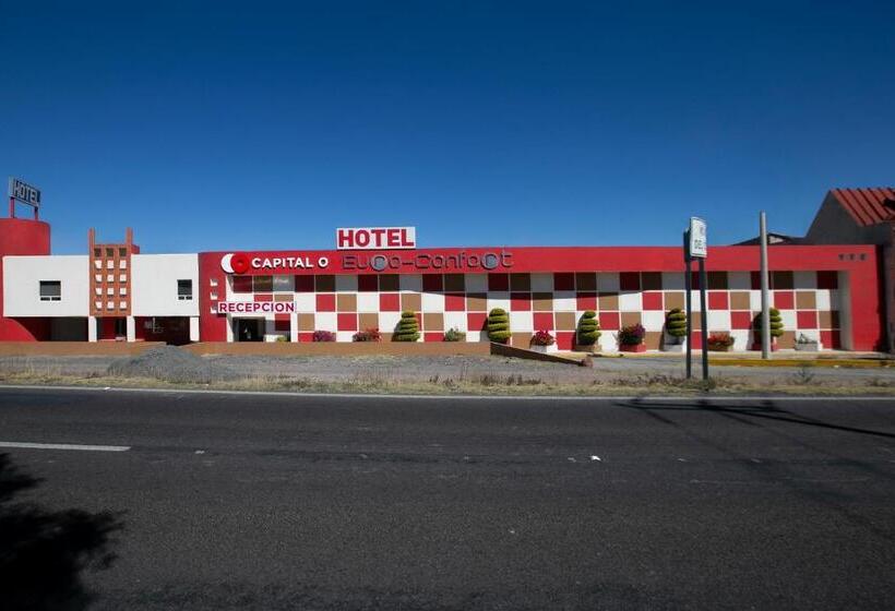 בית מלון כפרי Euro Confort,pachuca