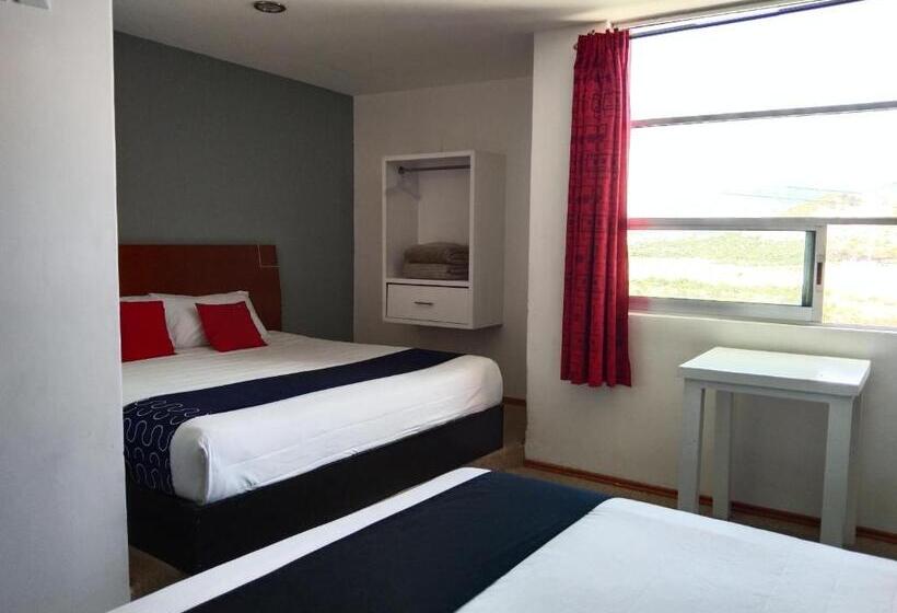 בית מלון כפרי Euro Confort,pachuca