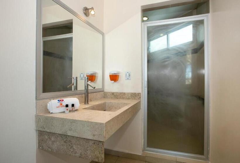 בית מלון כפרי Euro Confort,pachuca