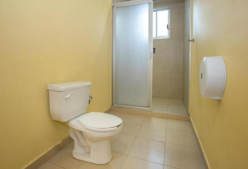 בית מלון כפרי Euro Confort,pachuca