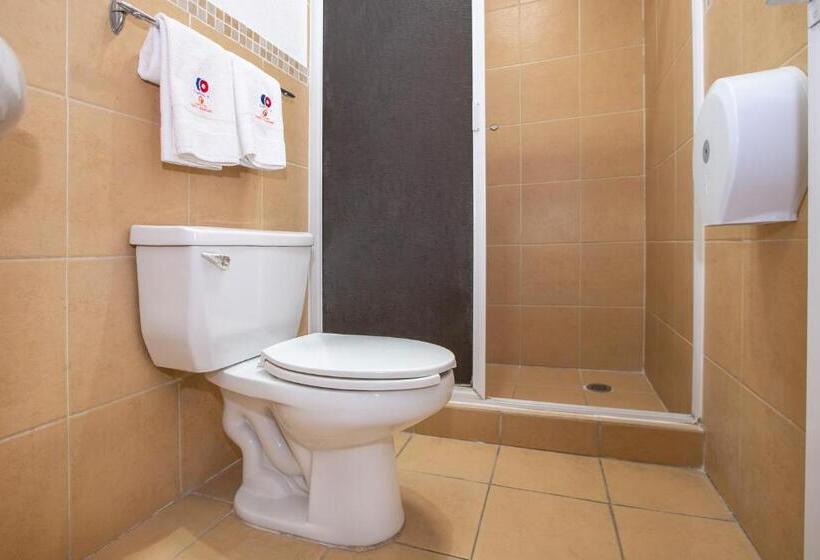 בית מלון כפרי Euro Confort,pachuca