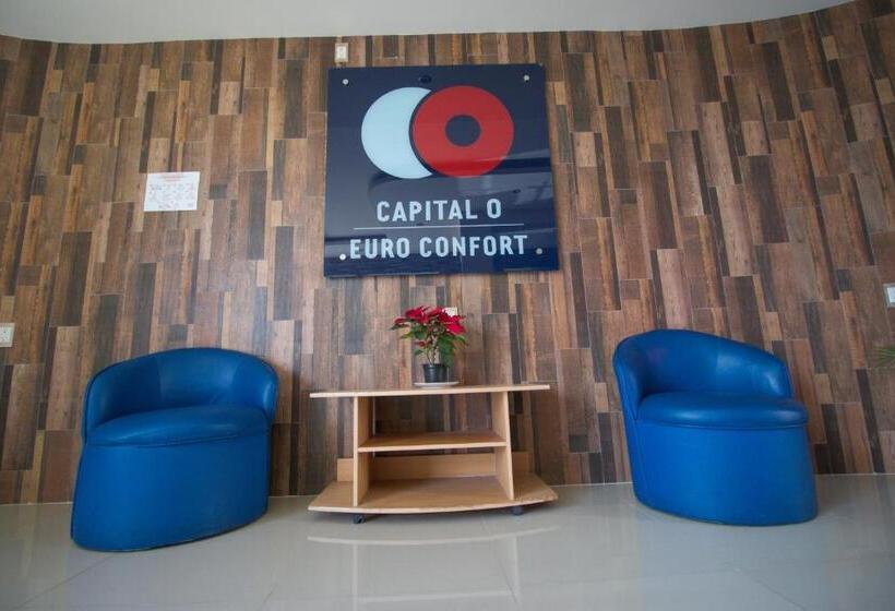 בית מלון כפרי Euro Confort,pachuca