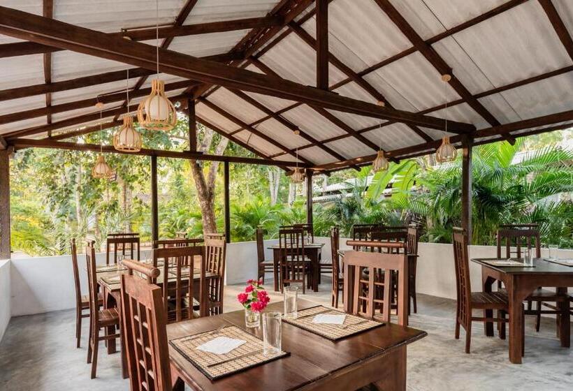 호텔 La Dolce Vita