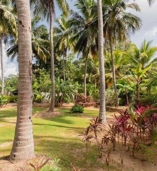 호텔 La Dolce Vita