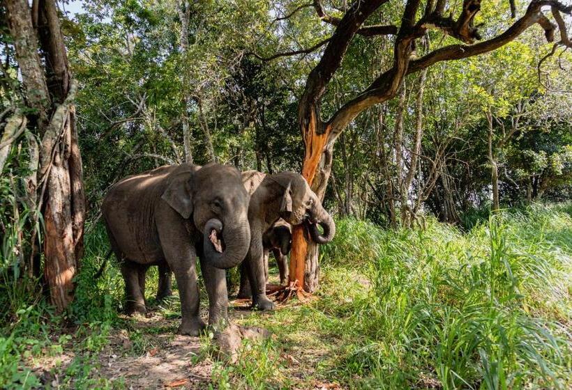 호텔 La Dolce Vita