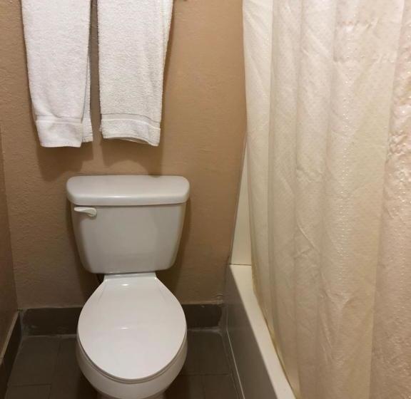 ホテル Lone Star Inn