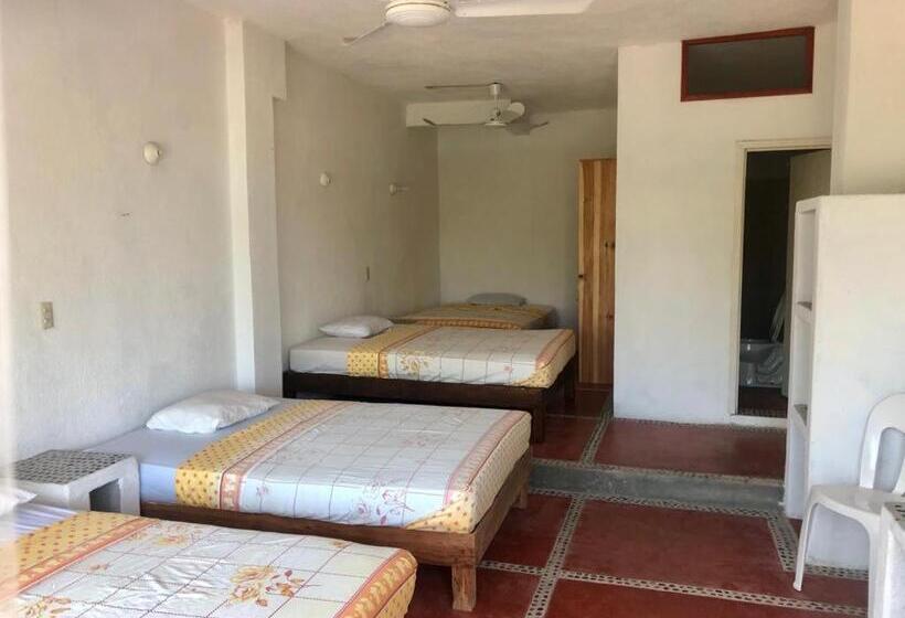 ユースホステル La Coral Beach House