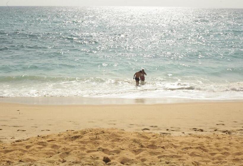 ユースホステル La Coral Beach House