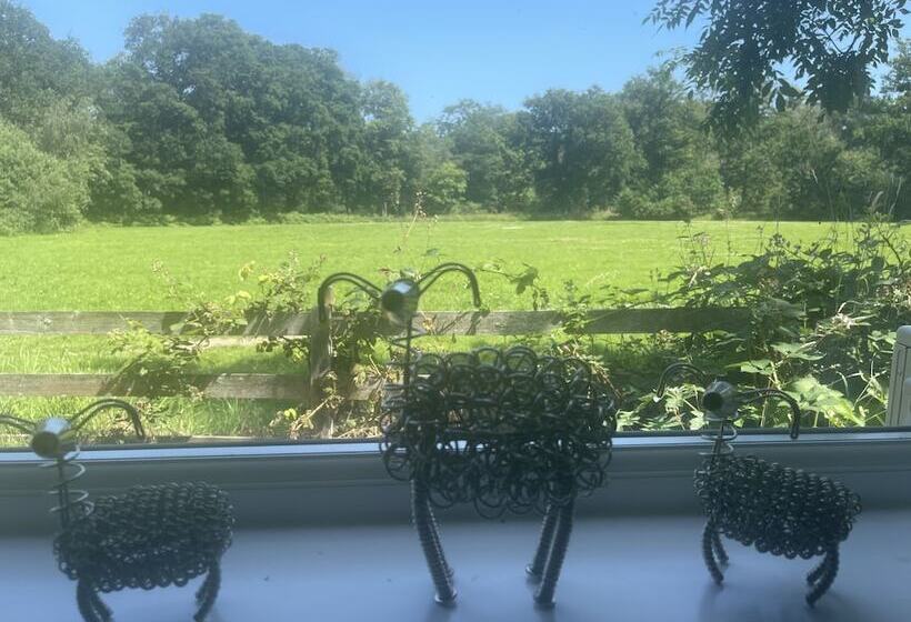 ユースホステル Village Limits Bed And Breakfast Rooms