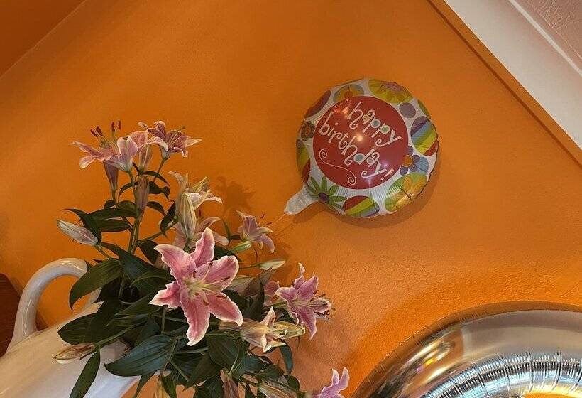 ユースホステル Village Limits Bed And Breakfast Rooms