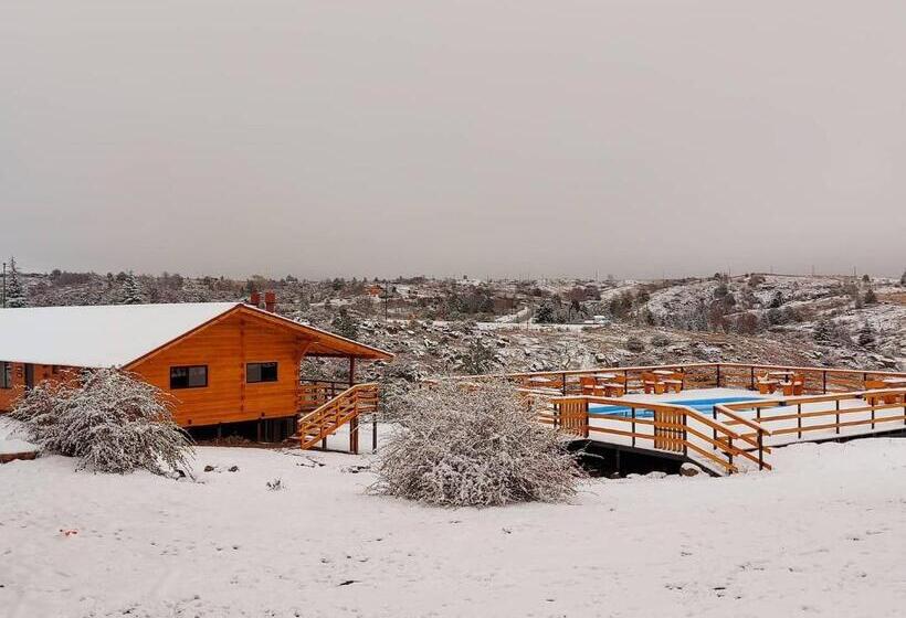 Отель Complejo Apus