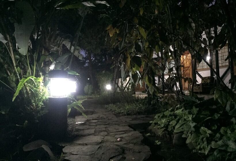 Отель Kizumba House