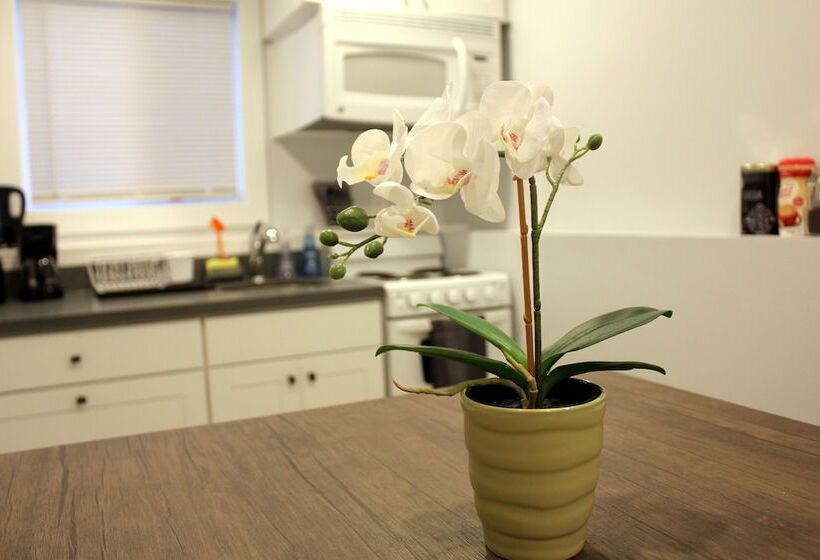 펜션 Rainier Guesthouse