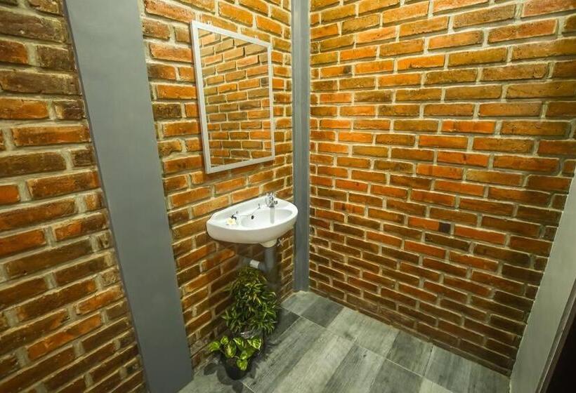 פנסיון The Backyard House