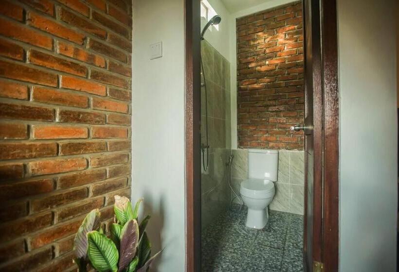 פנסיון The Backyard House