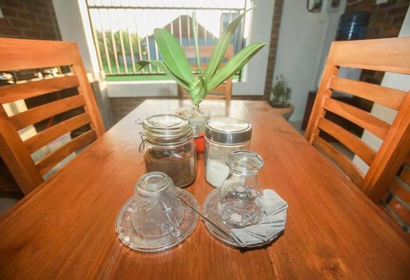 פנסיון The Backyard House