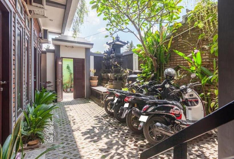 פנסיון The Backyard House