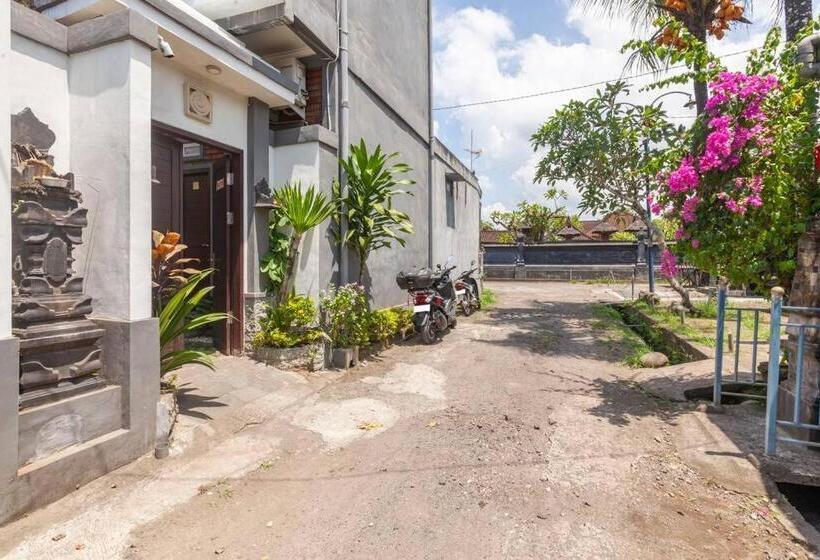 פנסיון The Backyard House