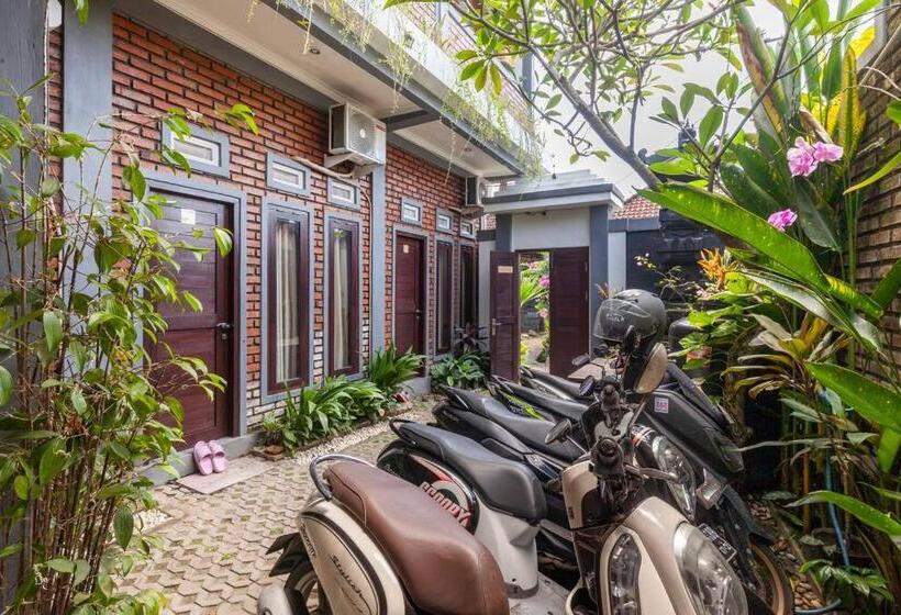 פנסיון The Backyard House